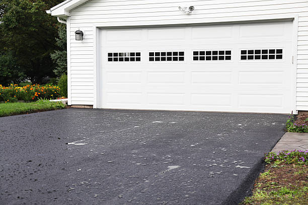 Best Shed Removal  in , TN
